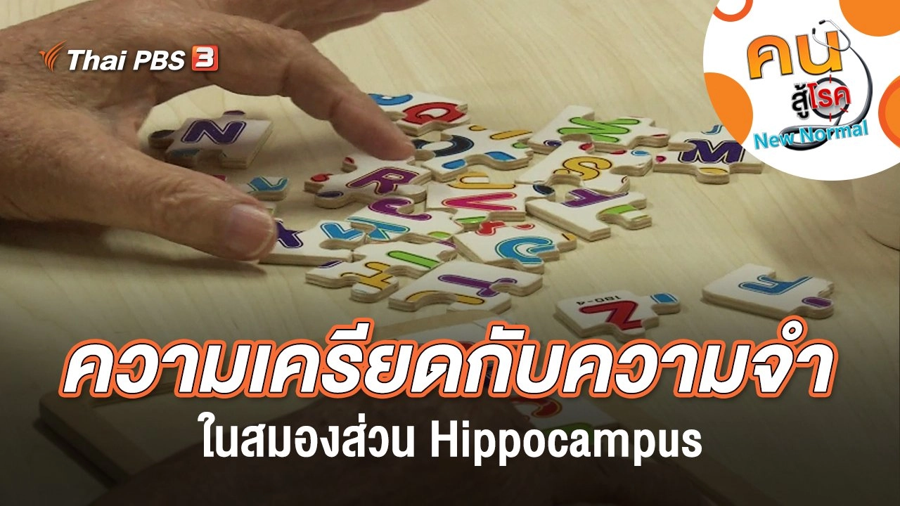 ความเครียดกับความจำในสมองส่วน Hippocampus
