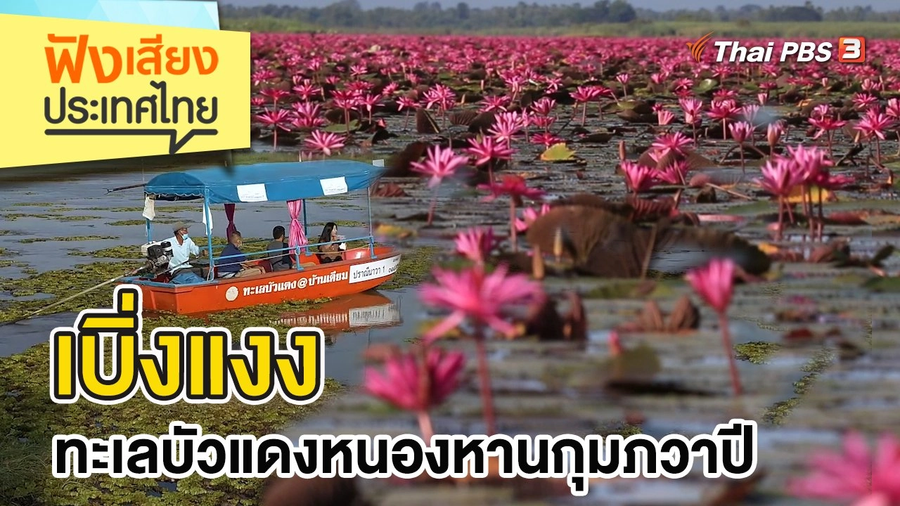 เบิ่งแงง ทะเลบัวแดงหนองหานกุมภวาปี