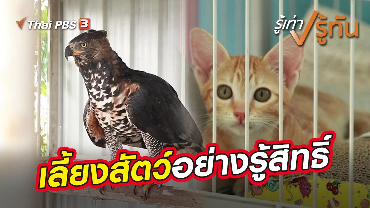 เลี้ยงสัตว์อย่างรู้สิทธิ์