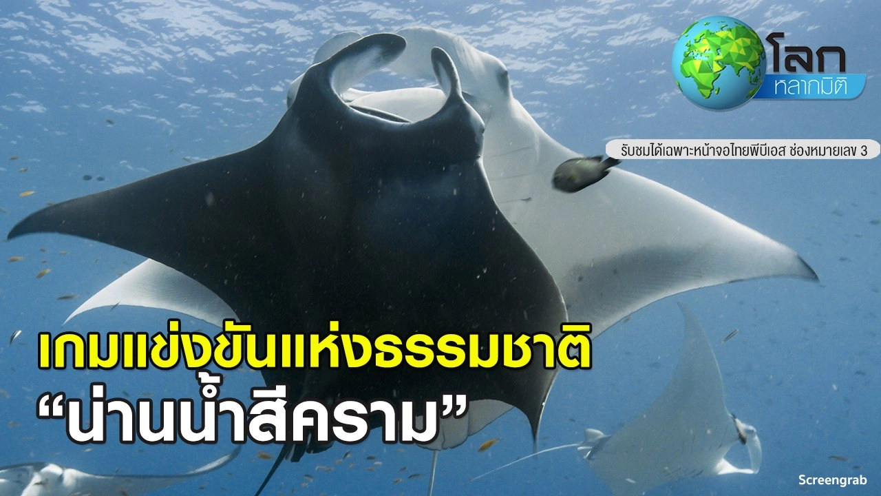 เกมแข่งขันแห่งธรรมชาติ ตอน น่านน้ำสีคราม