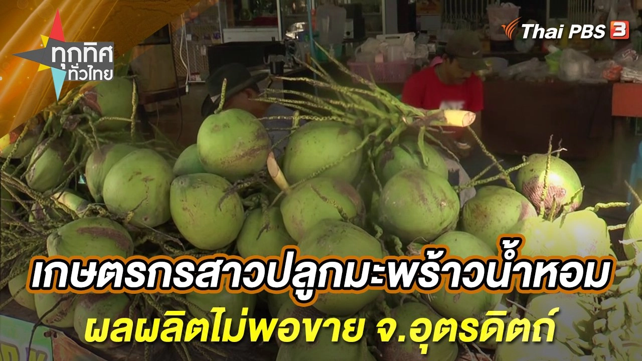 เกษตรกรสาวปลูกมะพร้าวน้ำหอมผลผลิตไม่พอขาย จ.อุตรดิตถ์