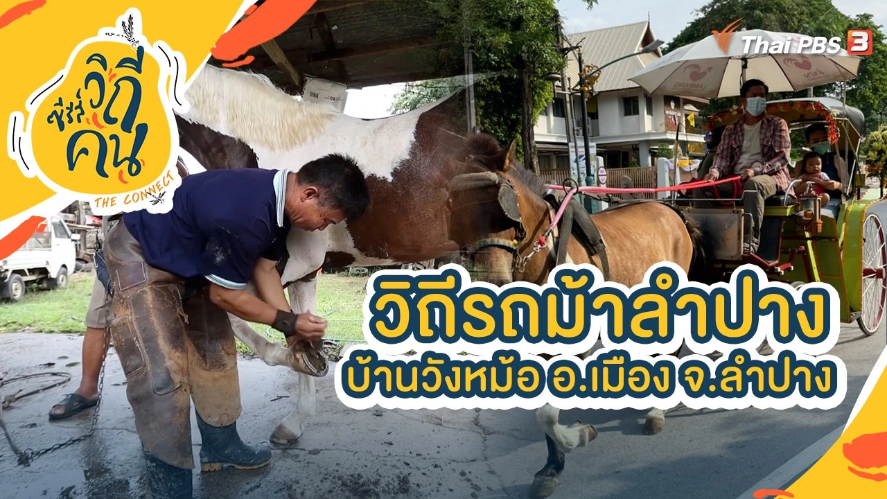 วิถีรถม้าลำปาง บ้านวังหม้อ อ.เมือง จ.ลำปาง