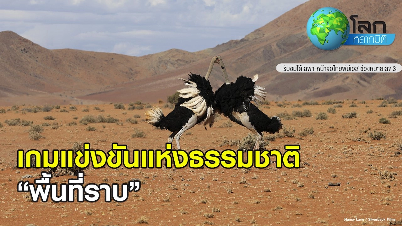 เกมแข่งขันแห่งธรรมชาติ ตอน พื้นที่ราบ