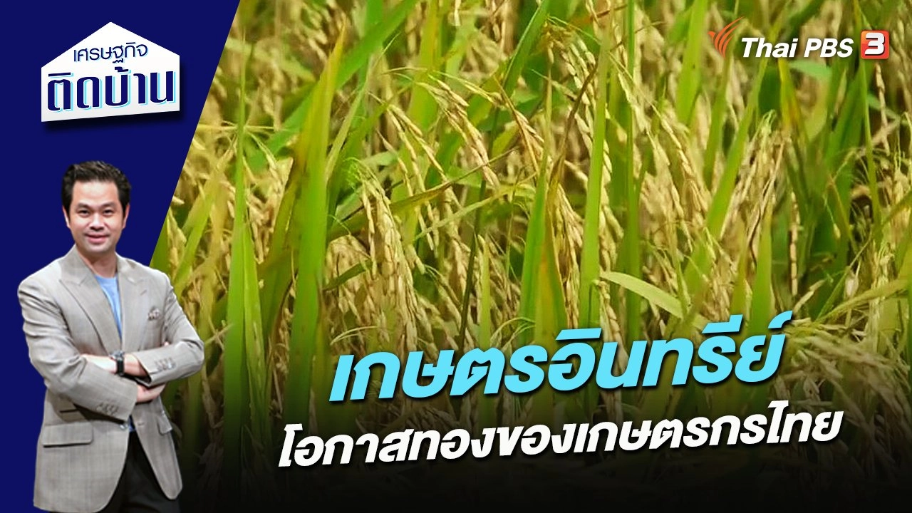 เกษตรอินทรีย์ โอกาสทองของเกษตรกรไทย