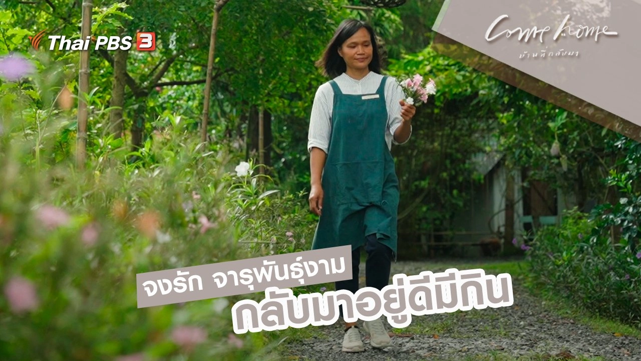 จงรัก จารุพันธุ์งาม : กลับมาอยู่ดีมีกิน