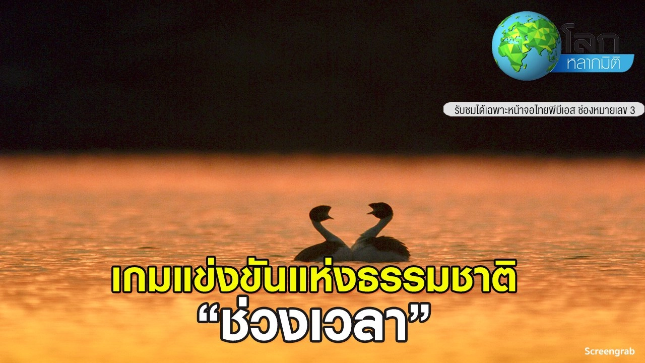 เกมแข่งขันแห่งธรรมชาติ ตอน ช่วงเวลา