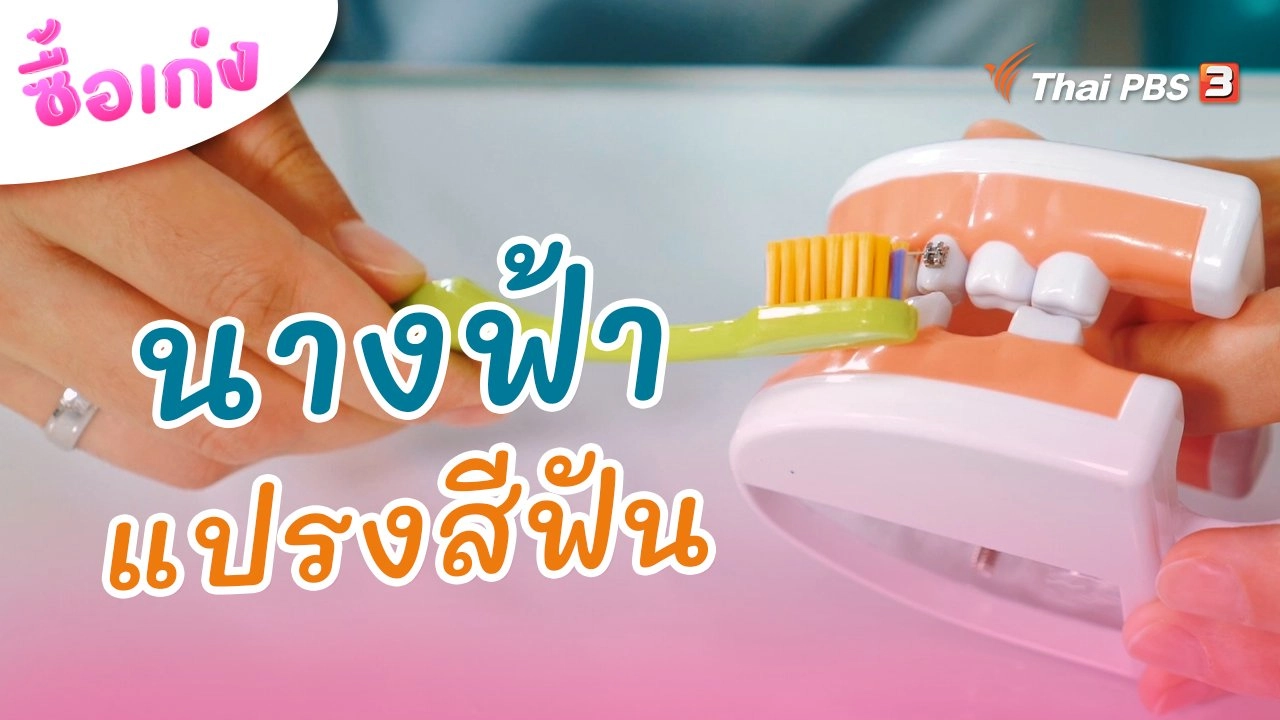 นางฟ้าแปรงสีฟัน