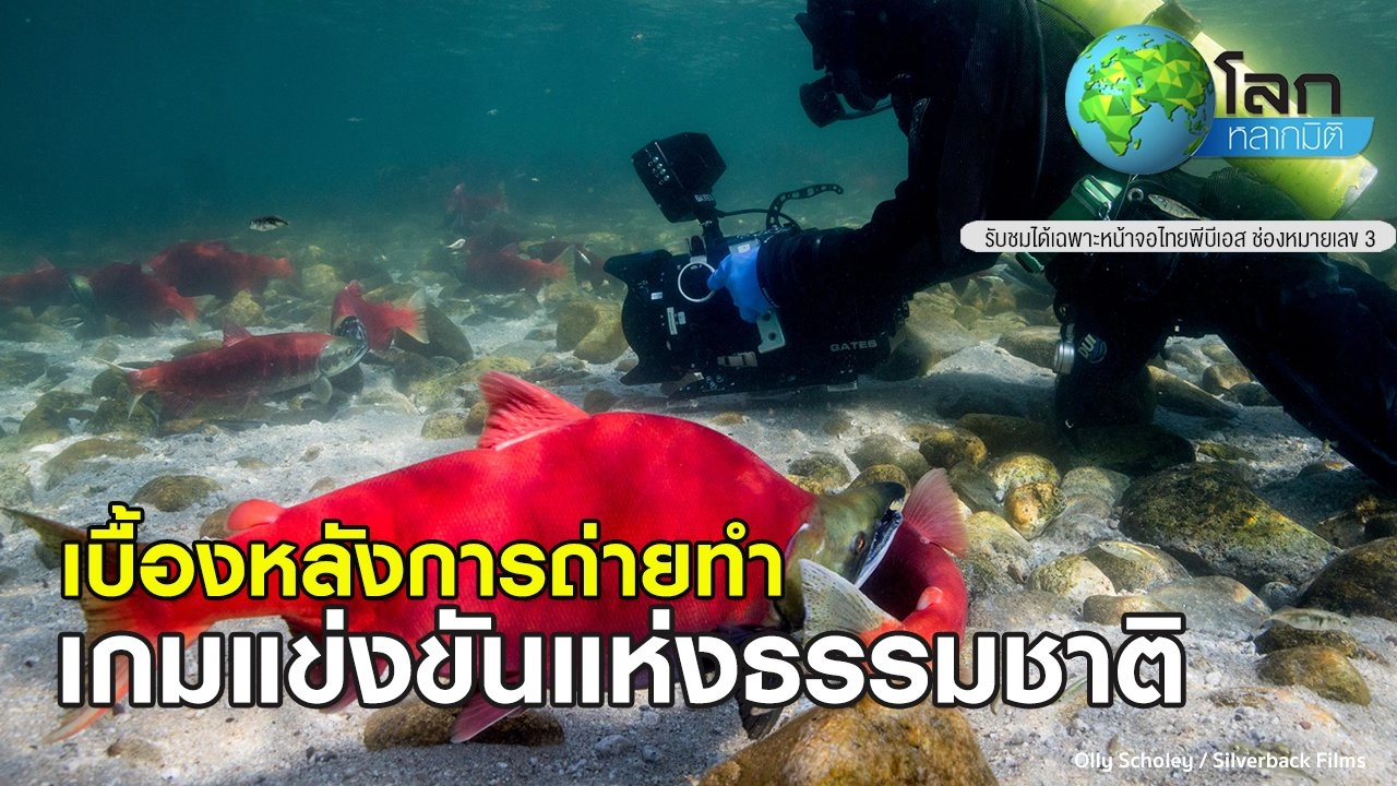 เบื้องหลังการถ่ายทำ เกมแข่งขันแห่งธรรมชาติ