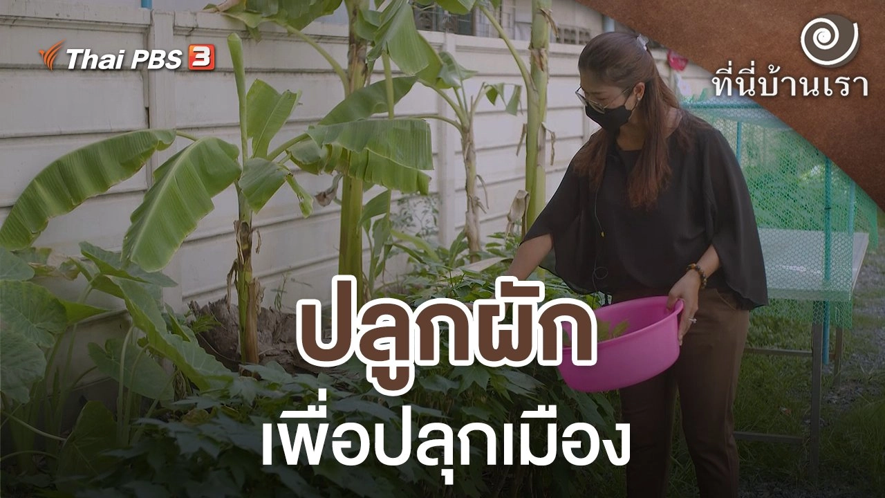 ปลูกผักเพื่อปลุกเมือง