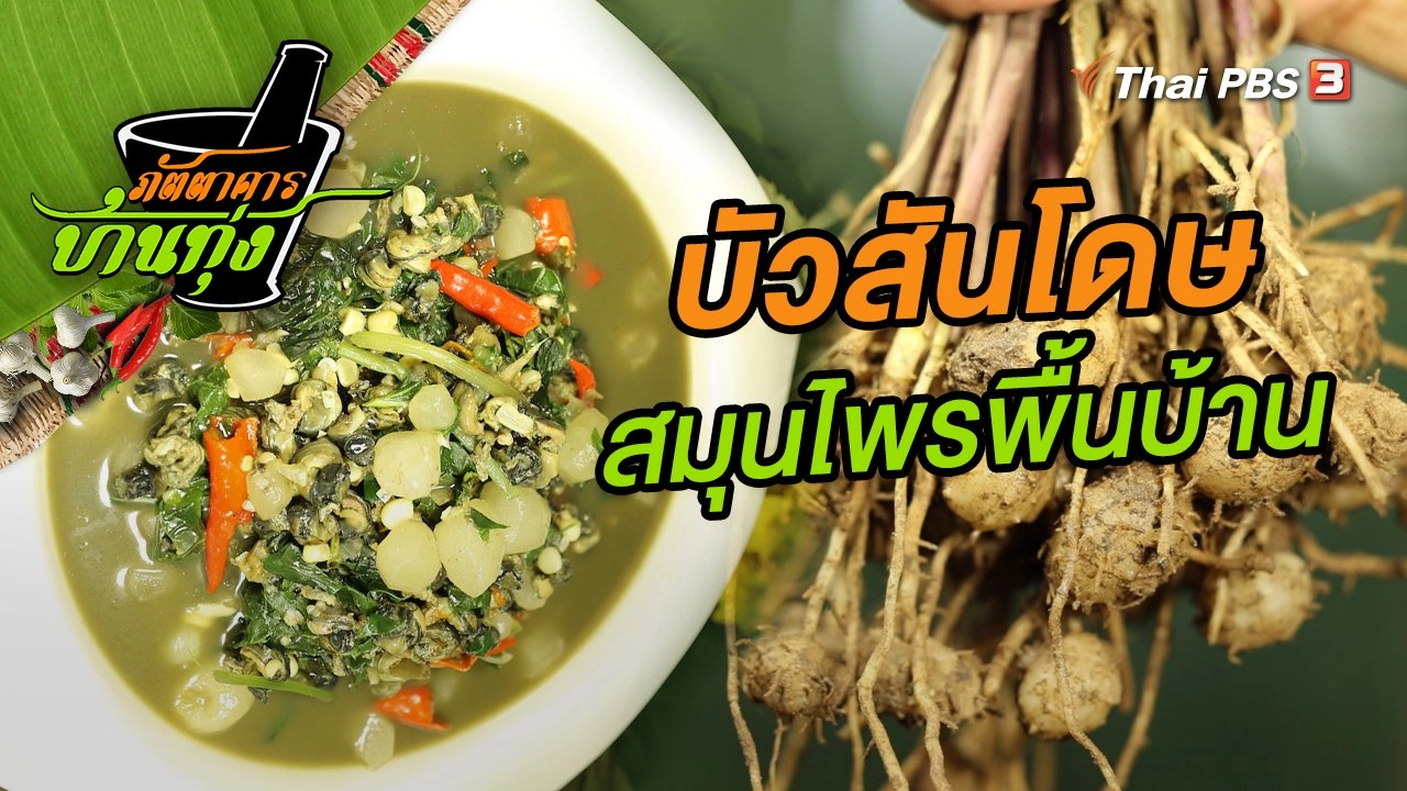 บัวสันโดษ