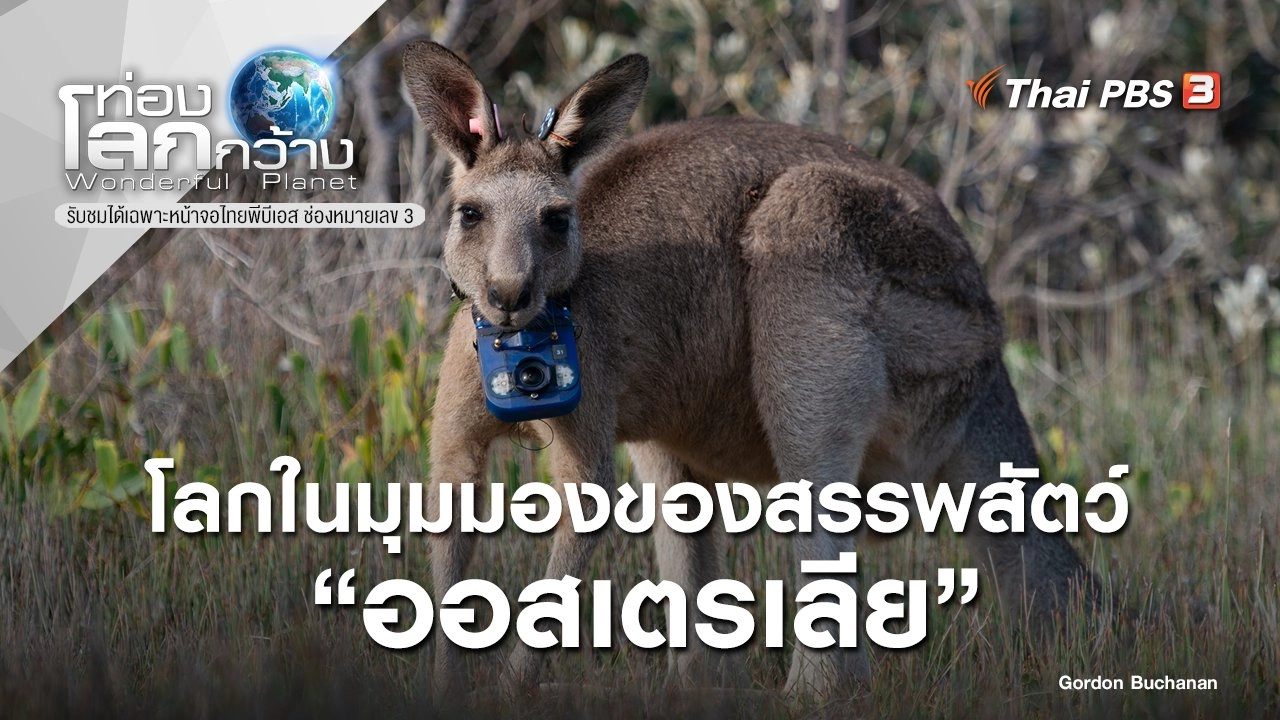 โลกในมุมมองของสรรพสัตว์ ตอน ออสเตรเลีย