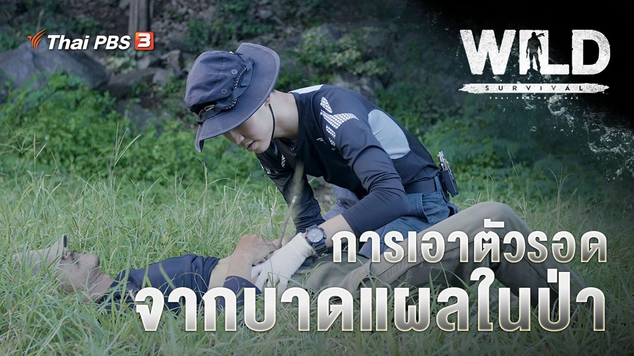 การเอาตัวรอดจากบาดแผลในป่า