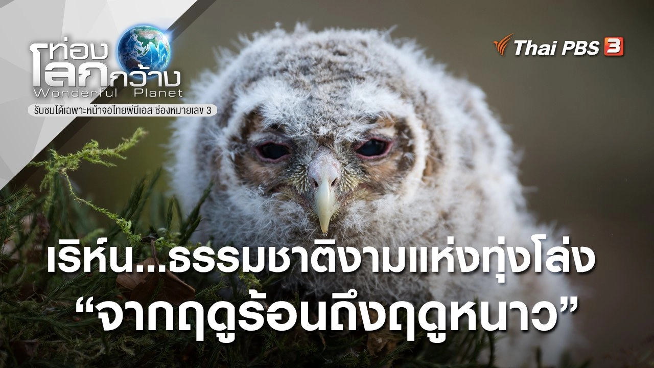 เริห์น...ธรรมชาติงามแห่งทุ่งโล่ง ตอน จากฤดูร้อนถึงฤดูหนาว