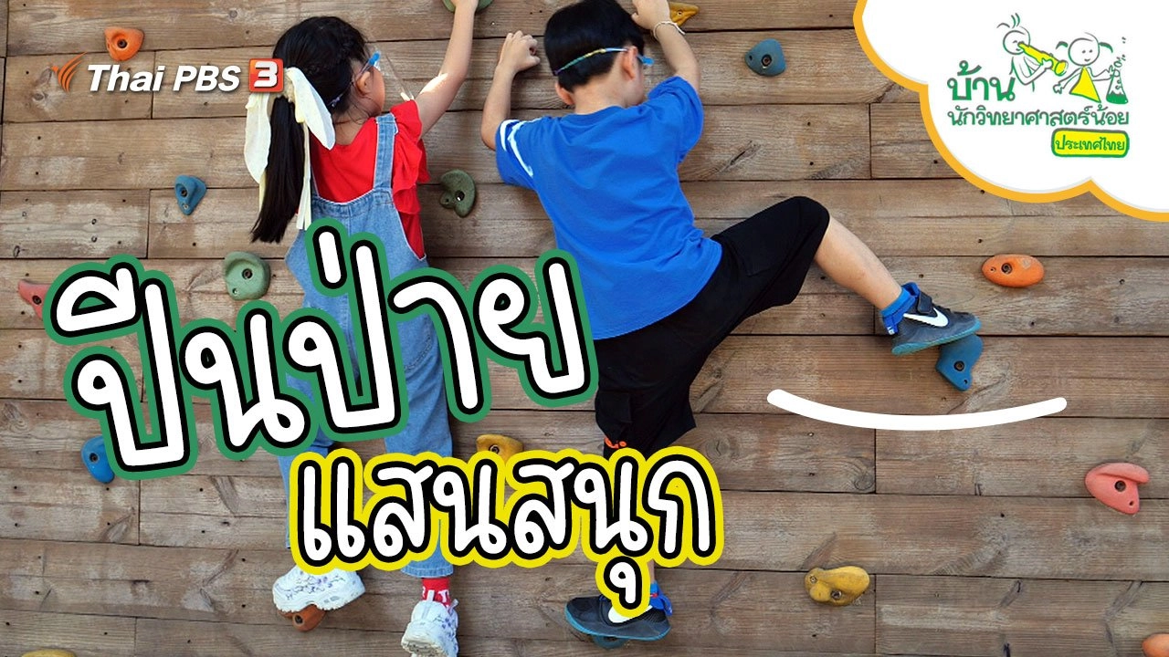 ปีนป่ายแสนสนุก