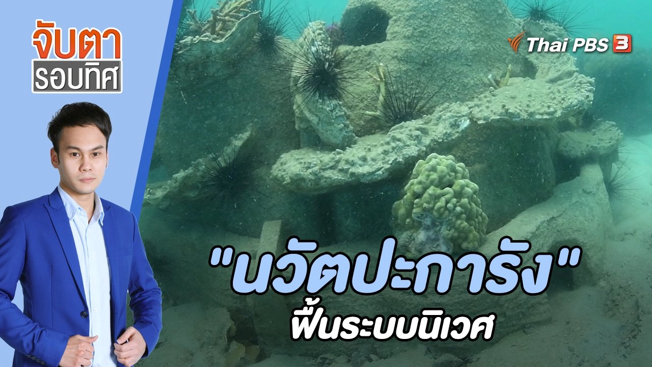 "นวัตปะการัง" ฟื้นระบบนิเวศ | 24 พ.ย. 65