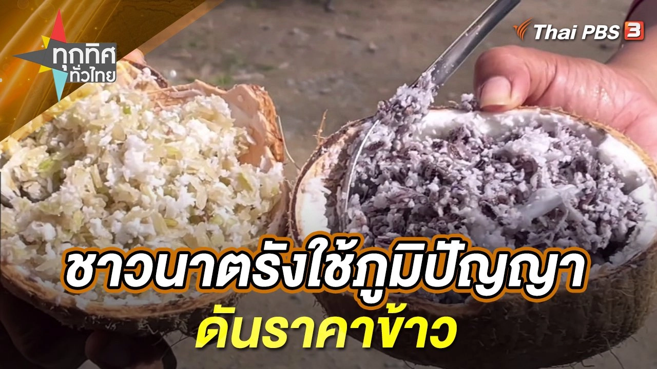 ชาวนาตรังใช้ภูมิปัญญาดันราคาข้าว