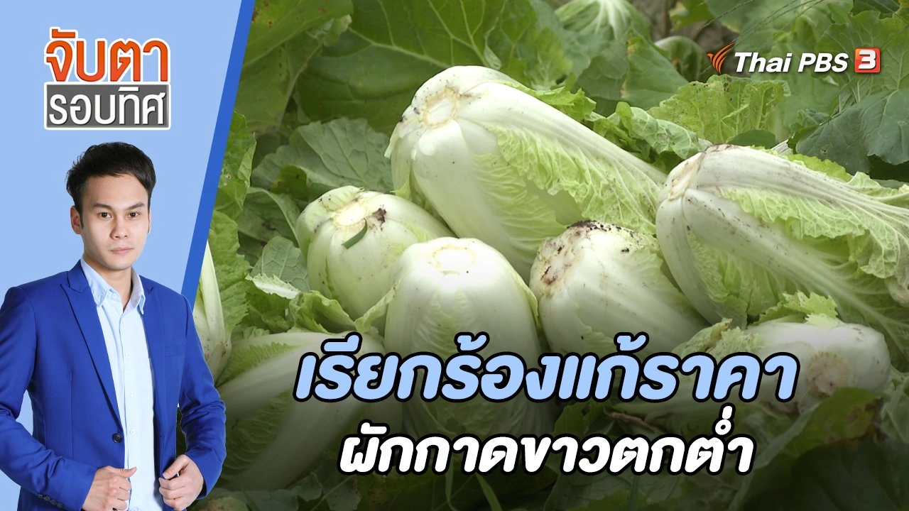 จับตารอบทิศ