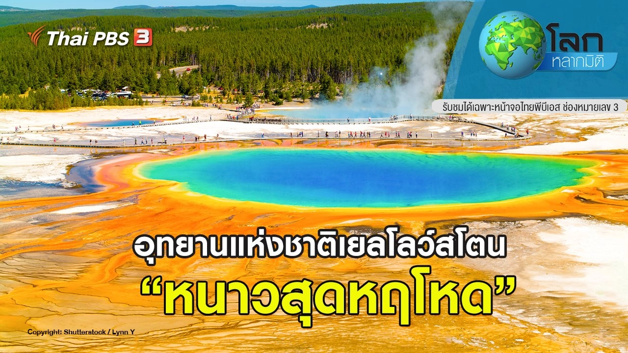 อุทยานแห่งชาติเยลโลว์สโตน ตอน หนาวสุดหฤโหด