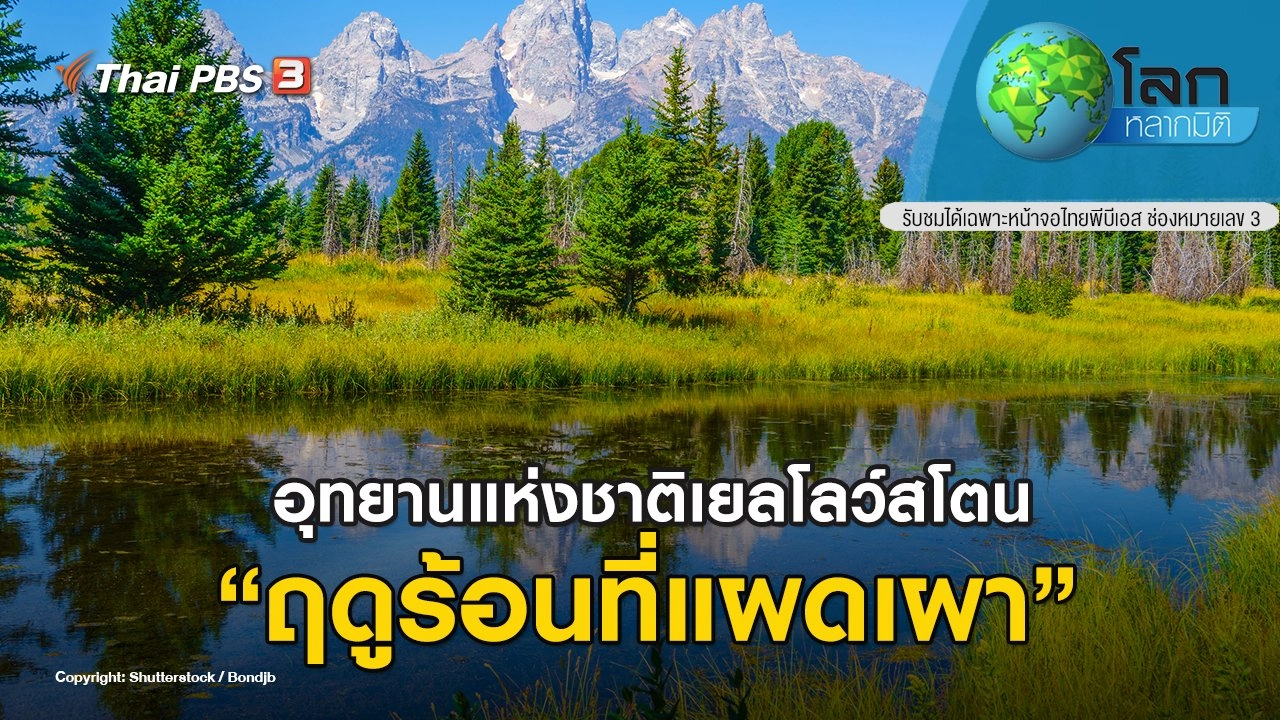 อุทยานแห่งชาติเยลโลว์สโตน ตอน ฤดูร้อนที่แผดเผา