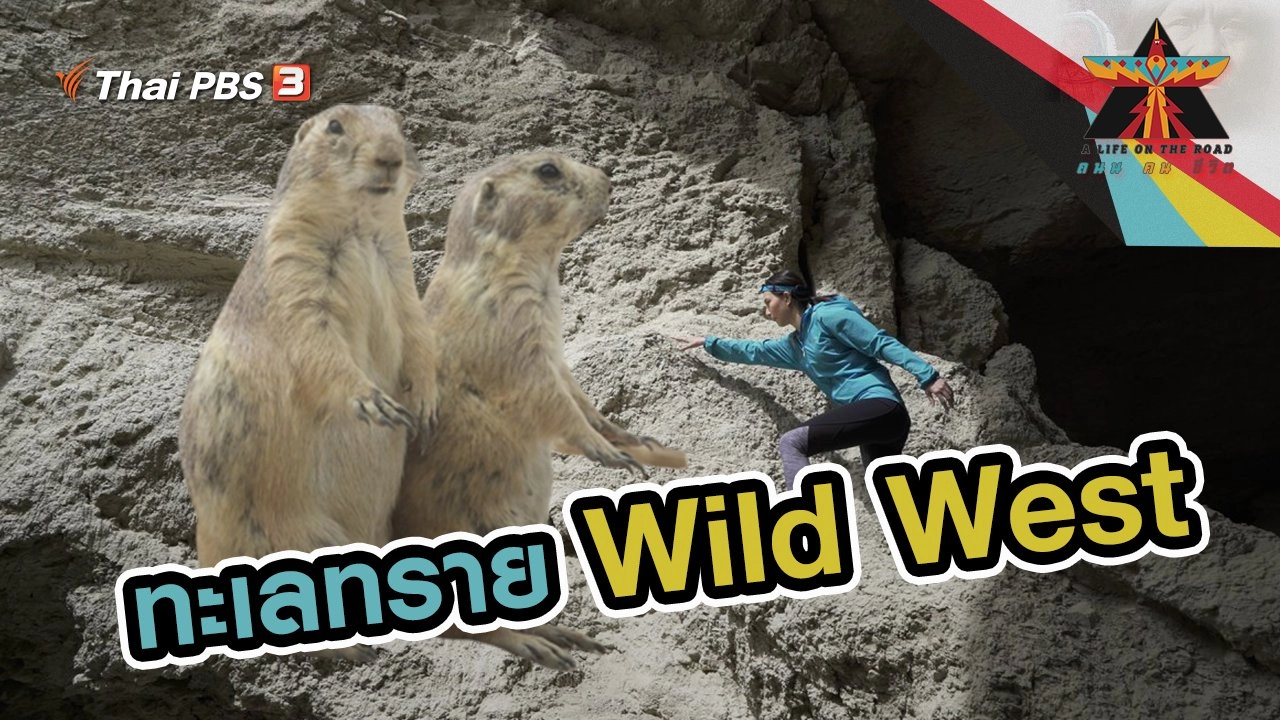 ทะเลทราย Wild West