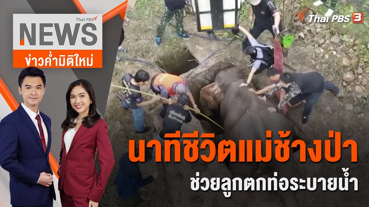 นาทีชีวิตแม่ช้างป่าช่วยลูกตกท่อระบายน้ำ | ข่าวค่ำมิติใหม่ | 13 ก.ค. 65