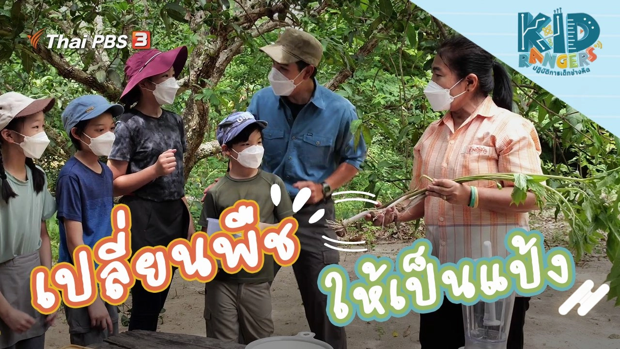 เปลี่ยนพืชให้เป็นแป้ง