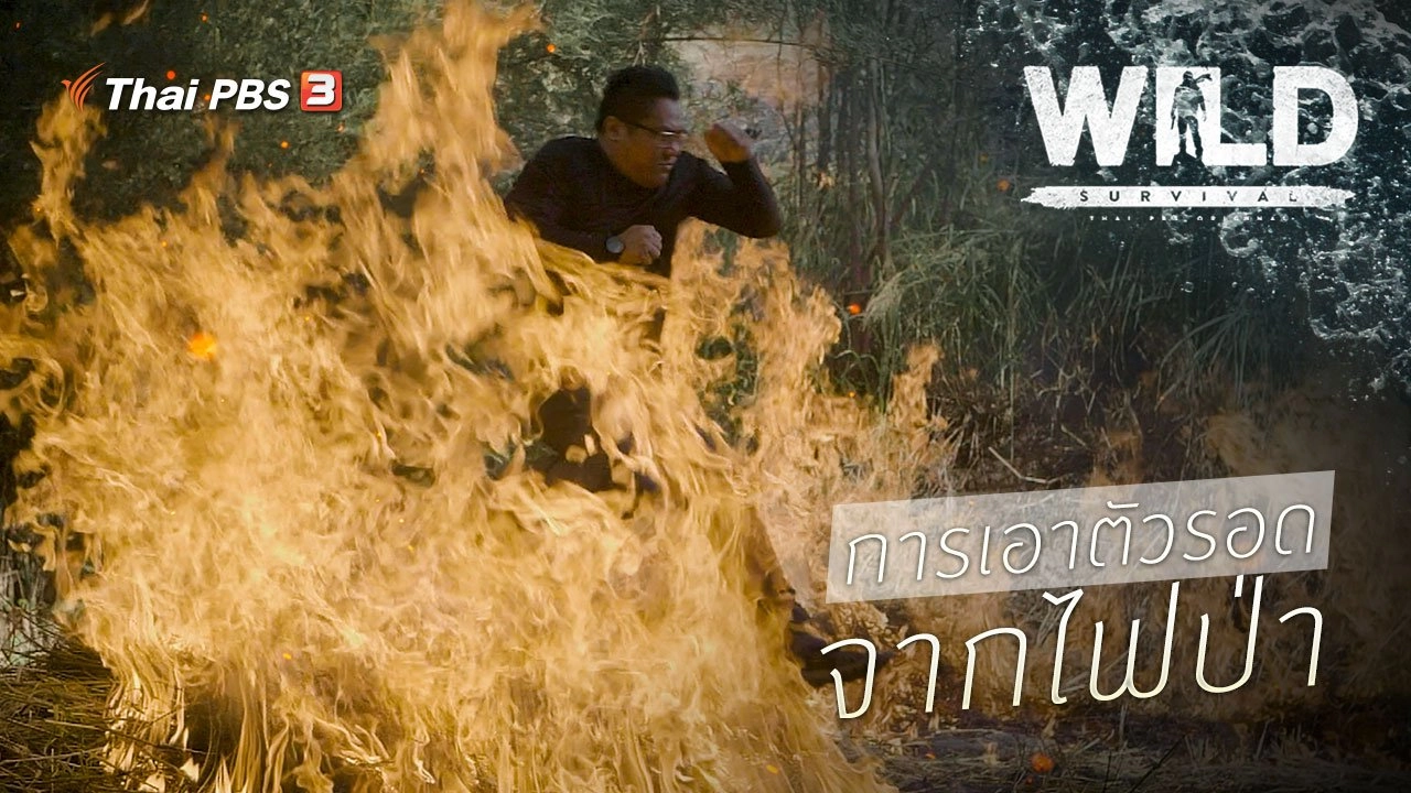 การเอาตัวรอดจากไฟป่า