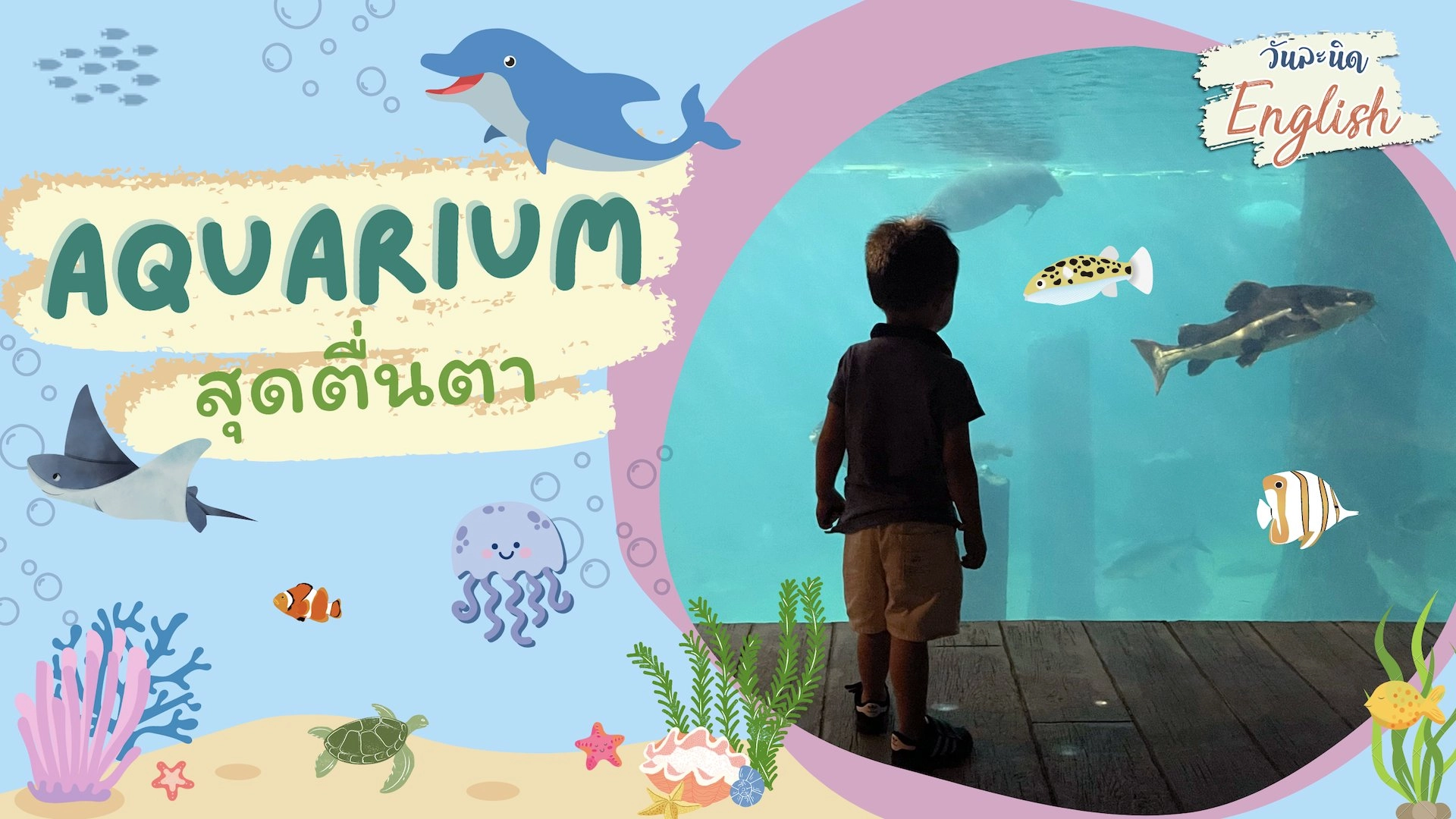 Aquarium สุดตื่นตา