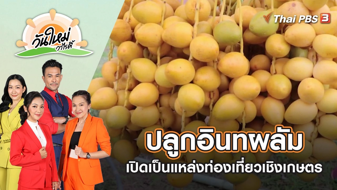 ชาวสวนมะม่วงหันมาปลูกอินทผลัม เปิดเป็นแหล่งท่องเที่ยวเชิงเกษตร | วันใหม่วาไรตี้ | 19 ก.ค. 65