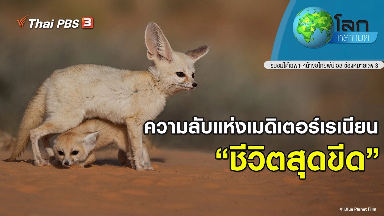 ความลับแห่งเมดิเตอร์เรเนียน ตอน ชีวิตสุดขีด