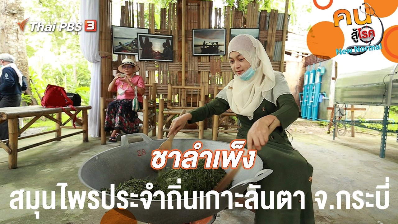 ชาลำเพ็งสมุนไพรประจำถิ่นเกาะลันตา จ.กระบี่