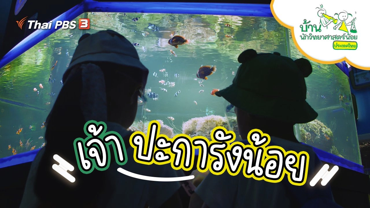 เจ้าปะการังน้อย