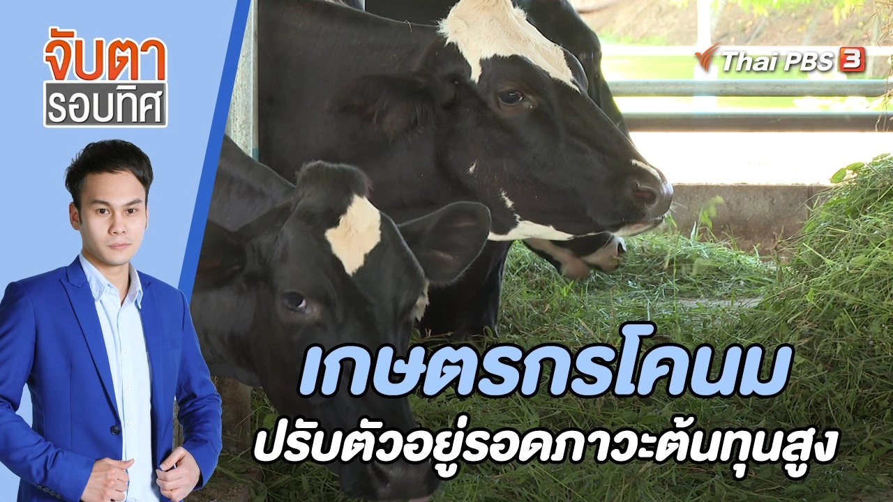เกษตรกรโคนม ปรับตัวอยู่รอดภาวะต้นทุนสูง | จับตารอบทิศ | 2 ส.ค. 65