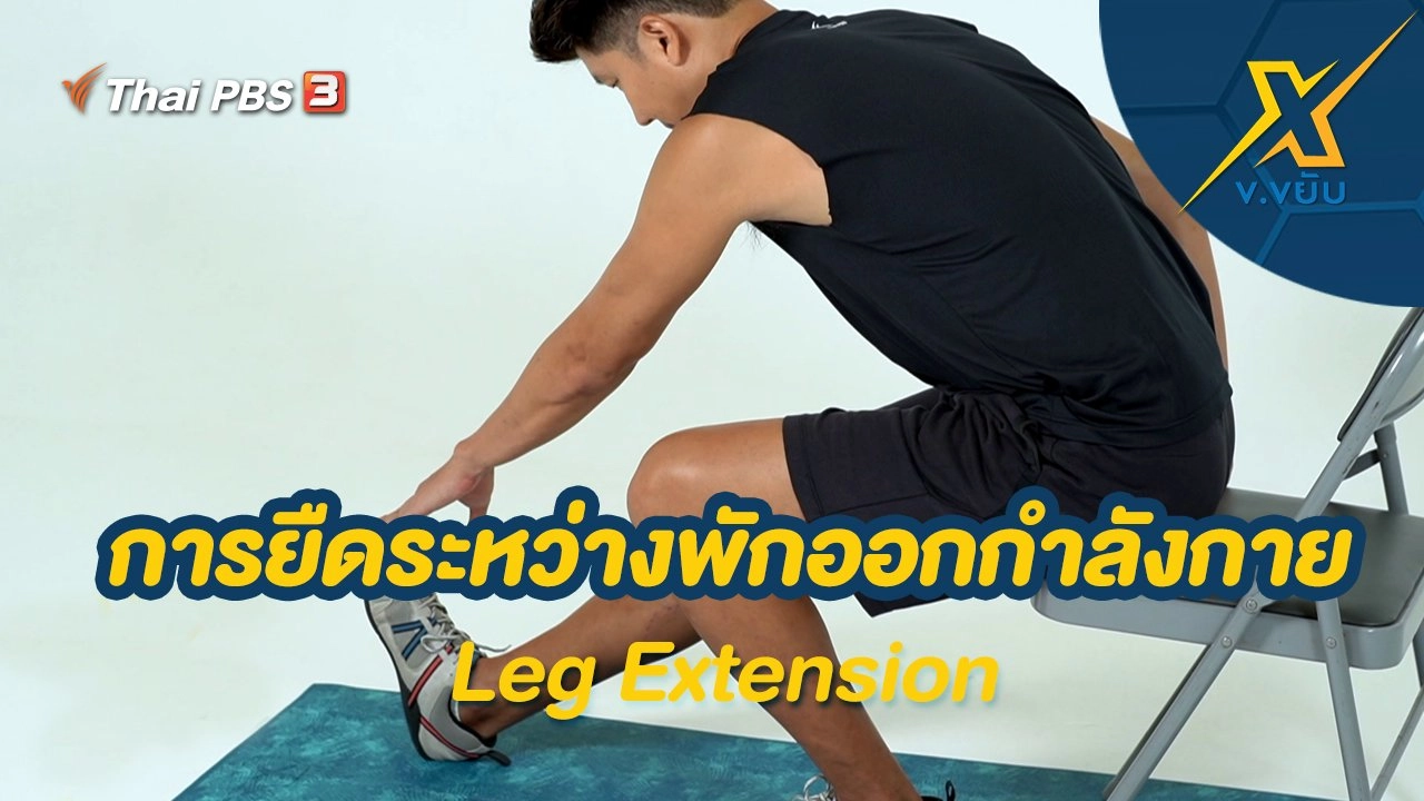 การยืดระหว่างพักออกกำลังกาย Leg Extension