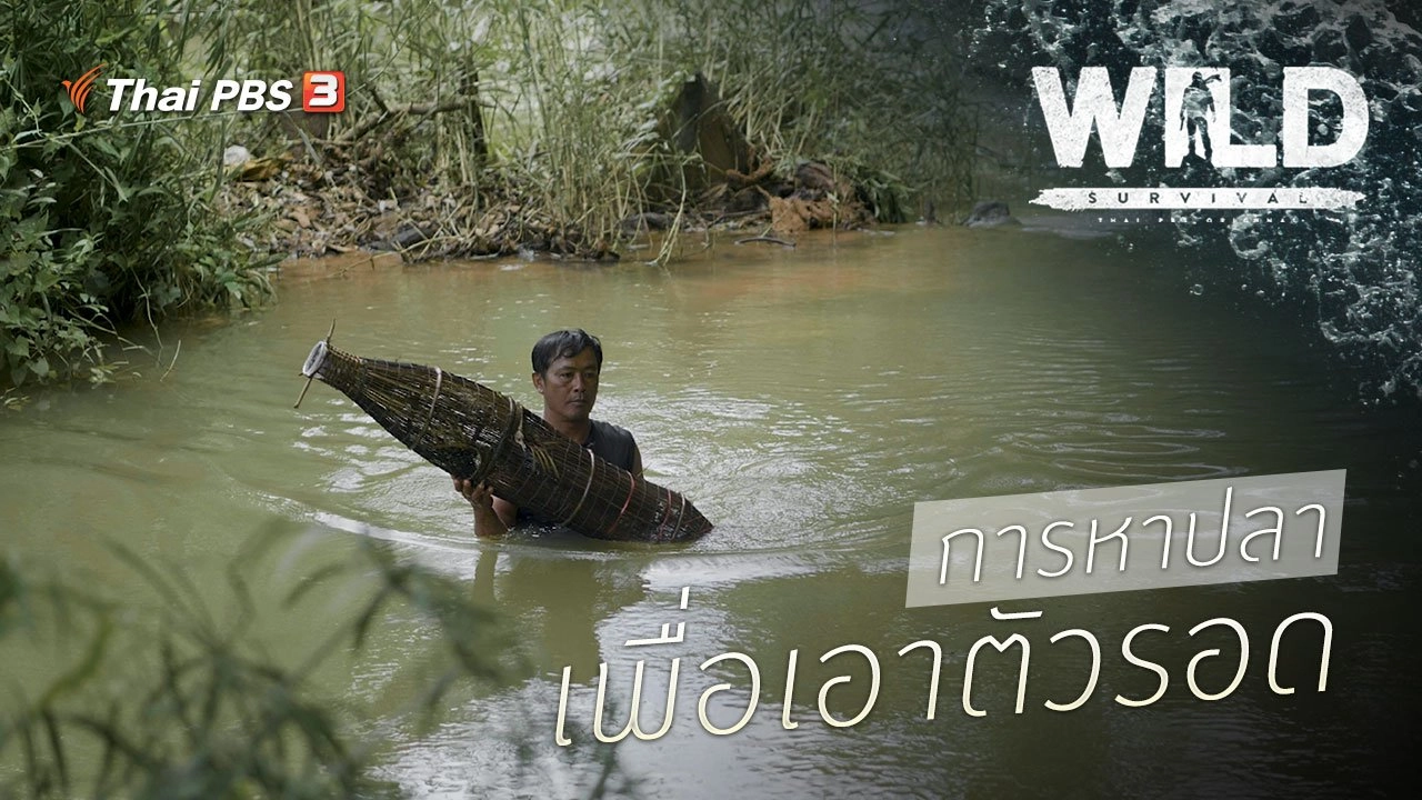 การหาปลา เพื่อเอาตัวรอด