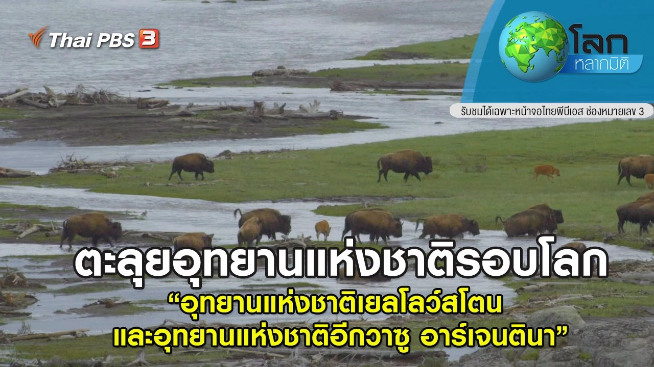 ตะลุยอุทยานแห่งชาติรอบโลก ตอน อุทยานแห่งชาติเยลโลว์สโตน และ อุทยานแห่งชาติอีกวาซู  อาร์เจนตินา