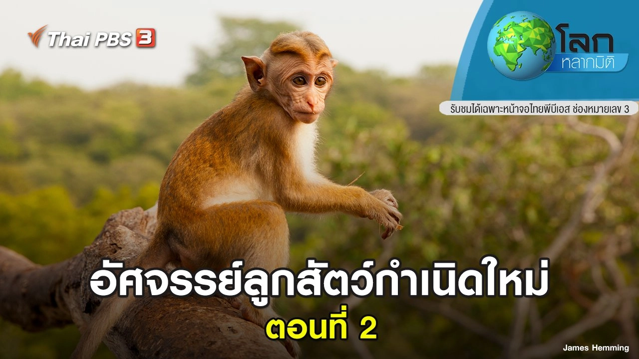 อัศจรรย์ลูกสัตว์กำเนิดใหม่ ตอนที่ 2