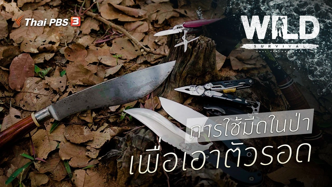 การใช้มีดในป่า เพื่อเอาตัวรอด