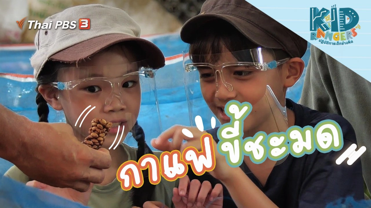 กาแฟขี้ชะมด