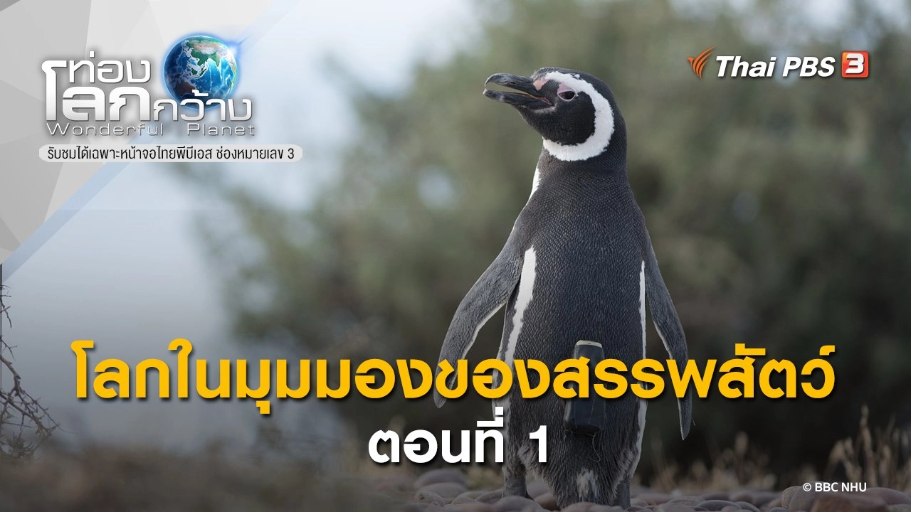 โลกในมุมมองของสรรพสัตว์ ตอนที่ 1
