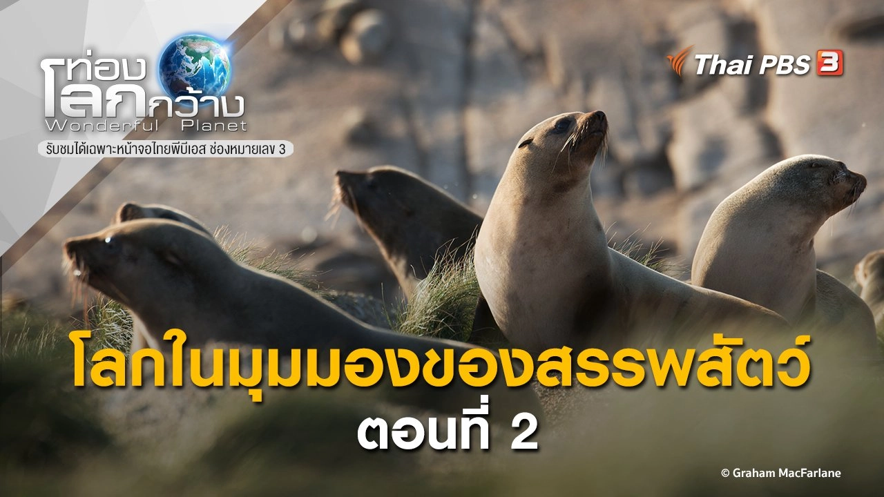 โลกในมุมมองของสรรพสัตว์ ตอนที่ 2