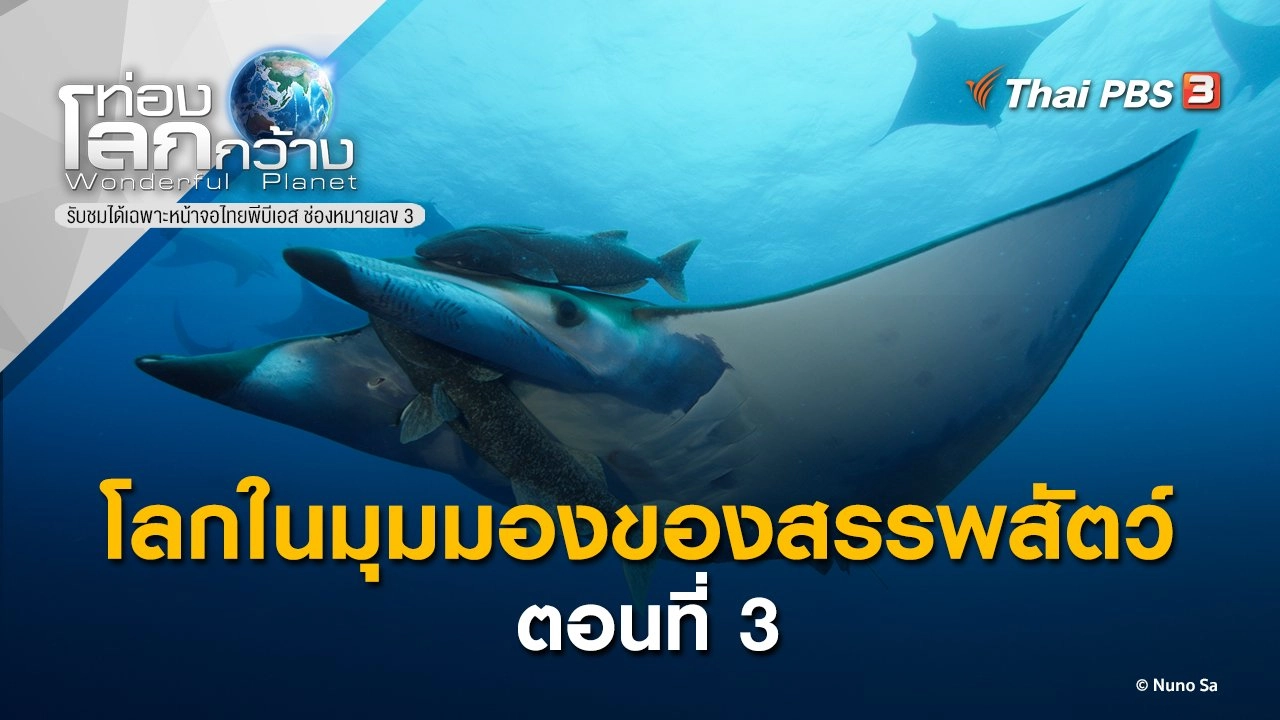 โลกในมุมมองของสรรพสัตว์ ตอนที่ 3