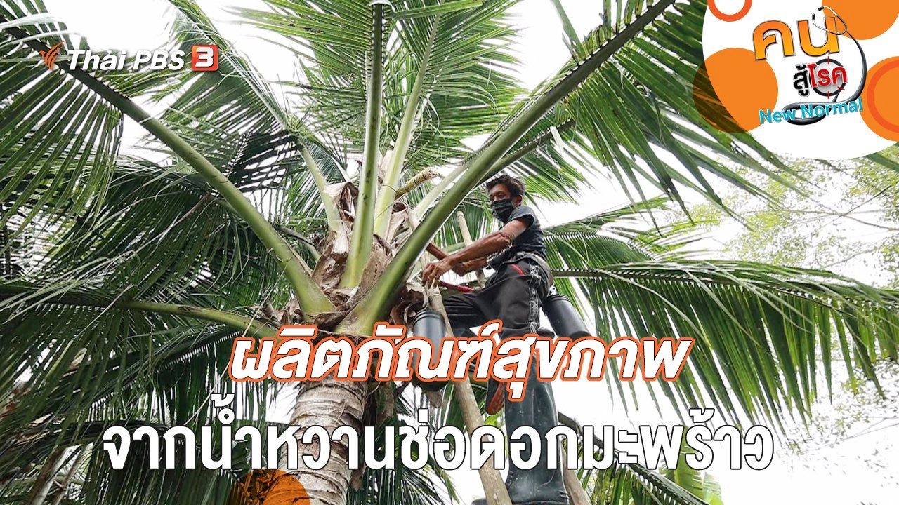 ผลิตภัณฑ์สุขภาพจากน้ำหวานช่อดอกมะพร้าว