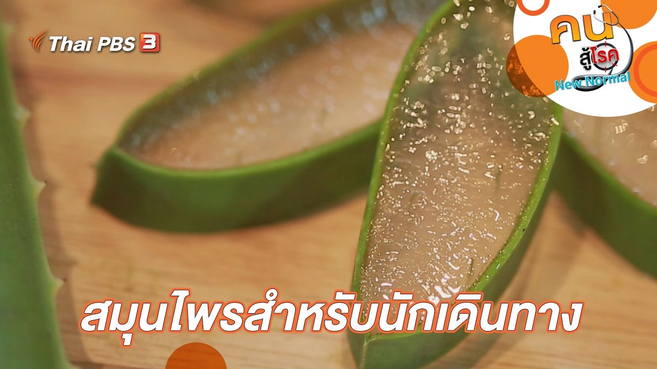 สมุนไพรสำหรับนักเดินทาง