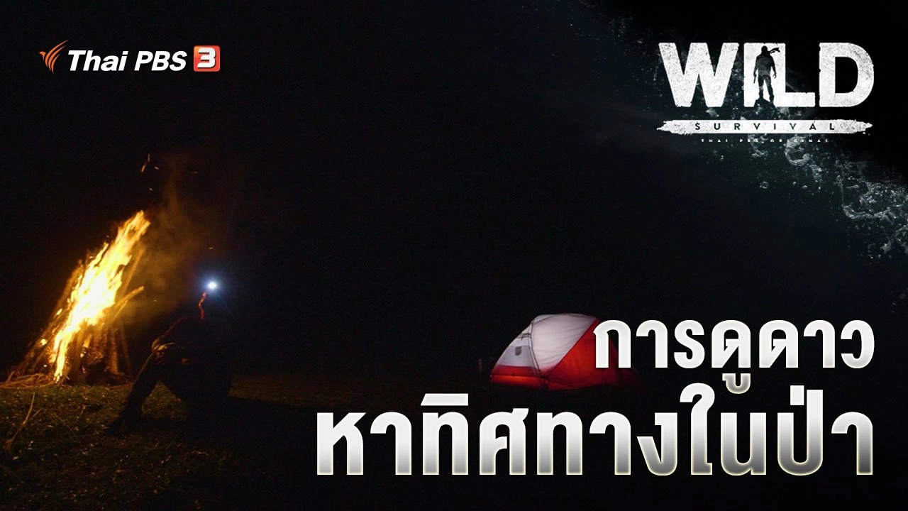 การดูดาว หาทิศทางในป่า