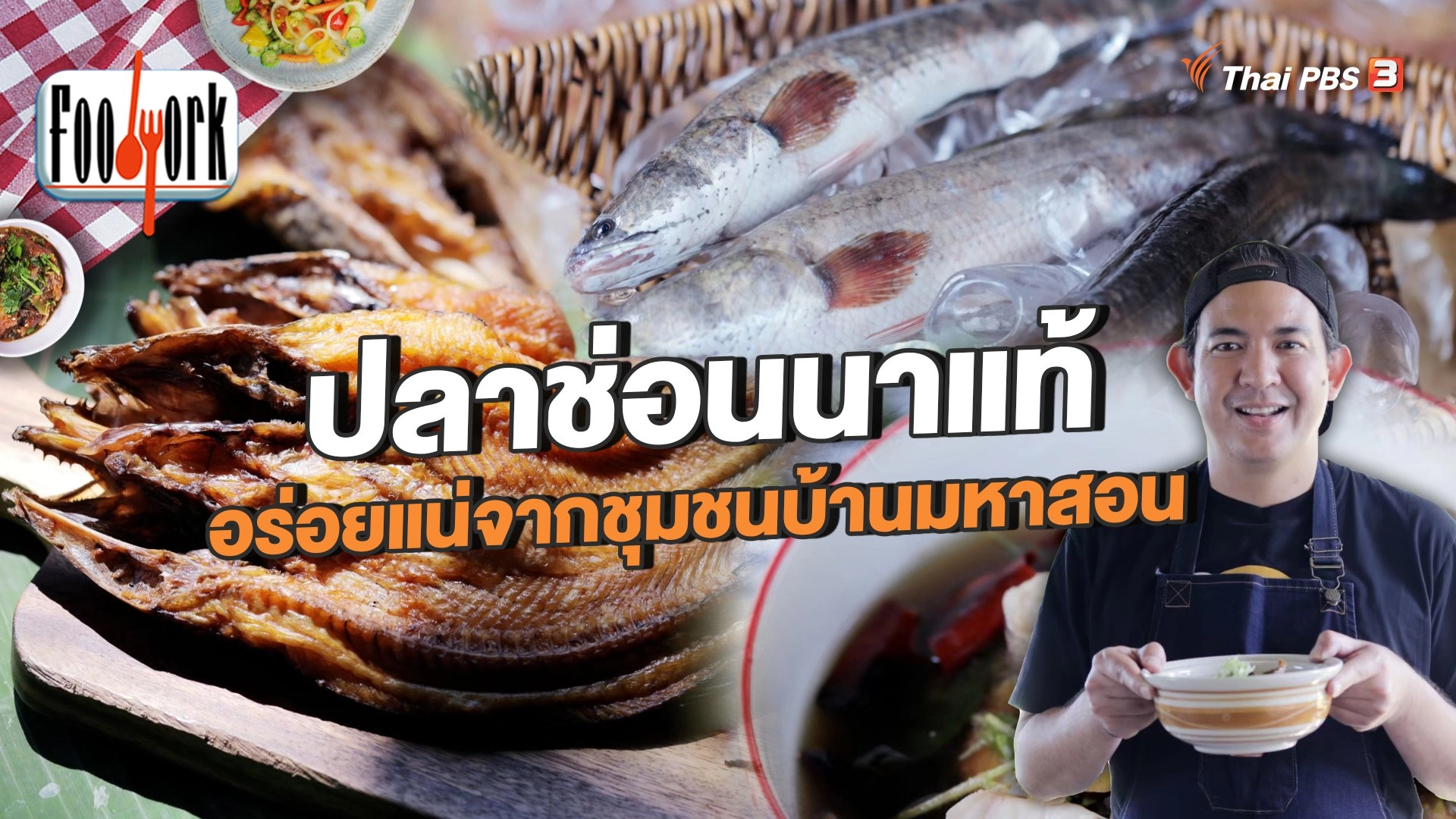 ปลาช่อนนาแท้ อร่อยแน่จากชุมชนบ้านมหาสอน