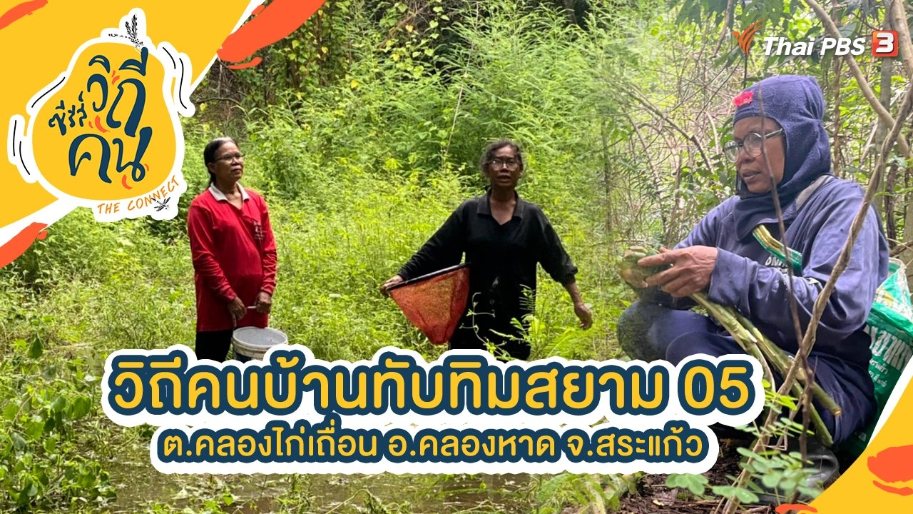 วิถีคนบ้านทับทิมสยาม 05 ต.คลองไก่เถื่อน อ.คลองหาด จ.สระแก้ว