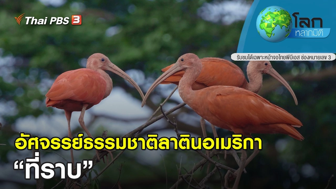 อัศจรรย์ธรรมชาติลาตินอเมริกา ตอน ที่ราบ