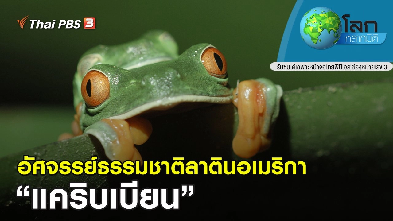 อัศจรรย์ธรรมชาติลาตินอเมริกา ตอน แคริบเบียน