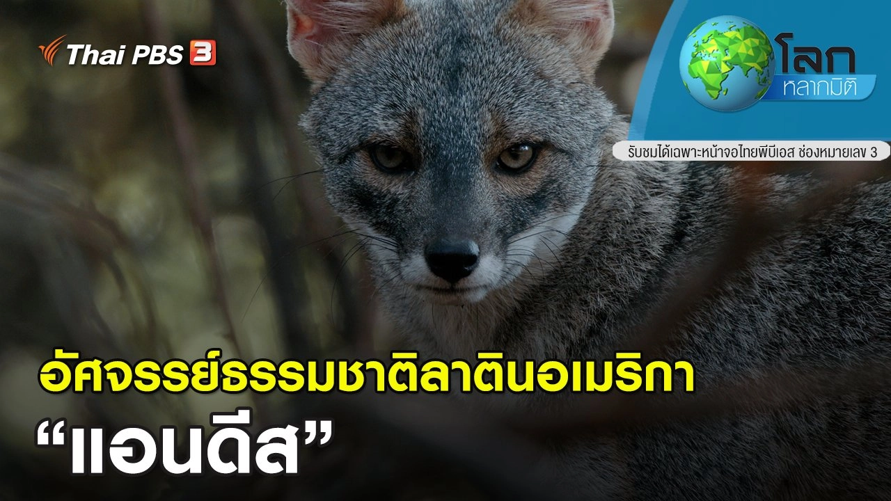 อัศจรรย์ธรรมชาติลาตินอเมริกา ตอน แอนดีส